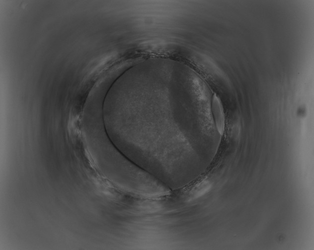 X0000092221010200710051153