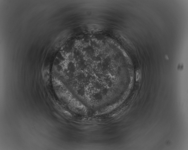 X0000092221011200710051154