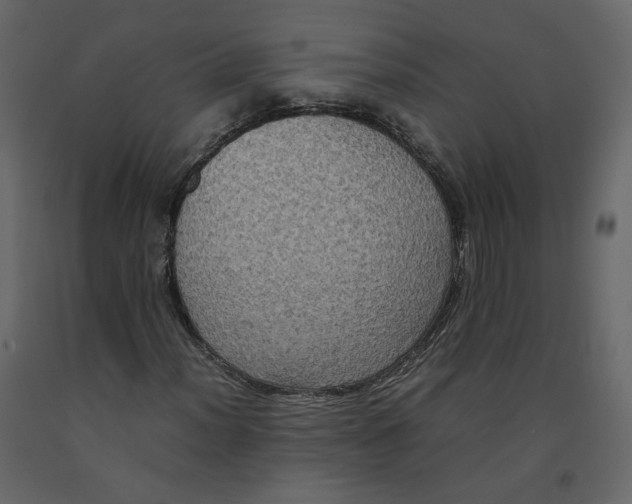 X0000092221012200710051154