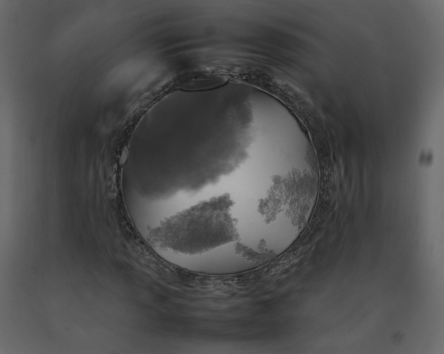 X0000092221013200710051154