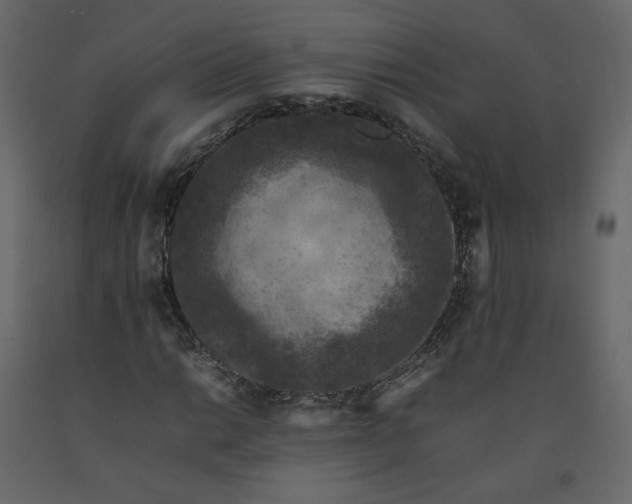X0000092221014200710051154