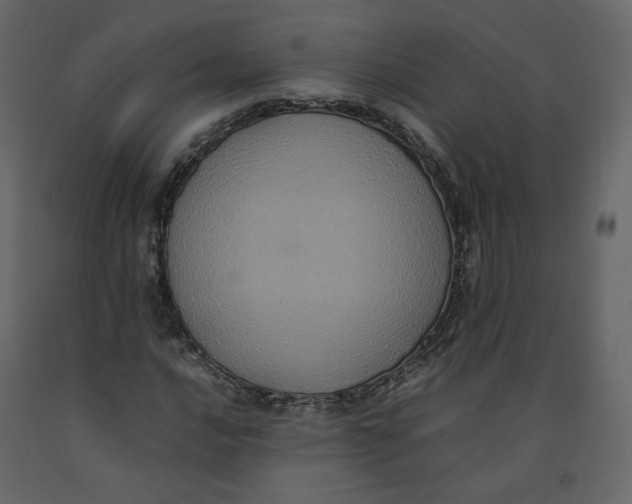 X0000092221016200710051154