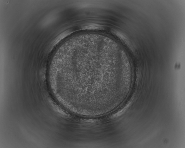 X0000092221017200710051154