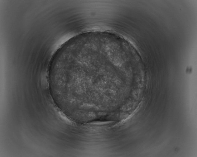 X0000092221018200710051154
