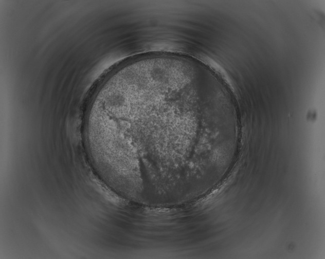 X0000092221019200710051154