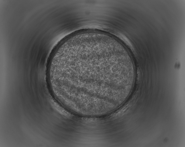 X0000092221020200710051154