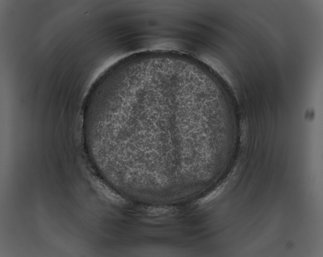 X0000092221021200710051154