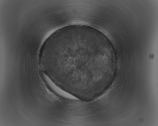 X0000092221022200710051154