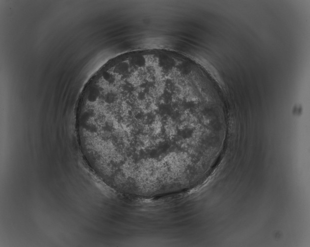 X0000092221023200710051154