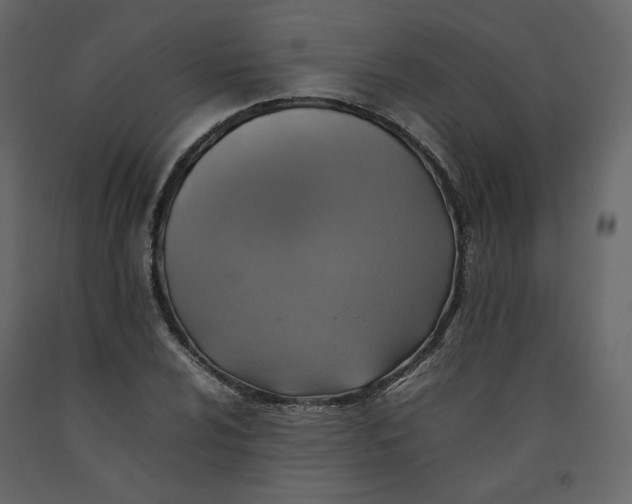 X0000092221024200710051154
