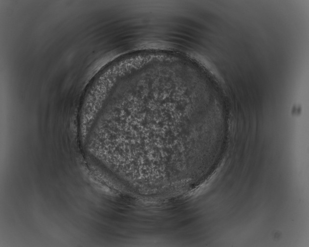 X0000092221025200710051154