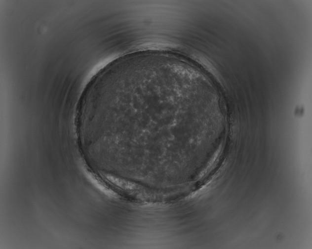 X0000092221026200710051154