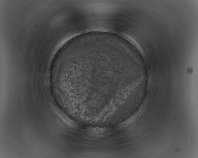 X0000092221027200710051154