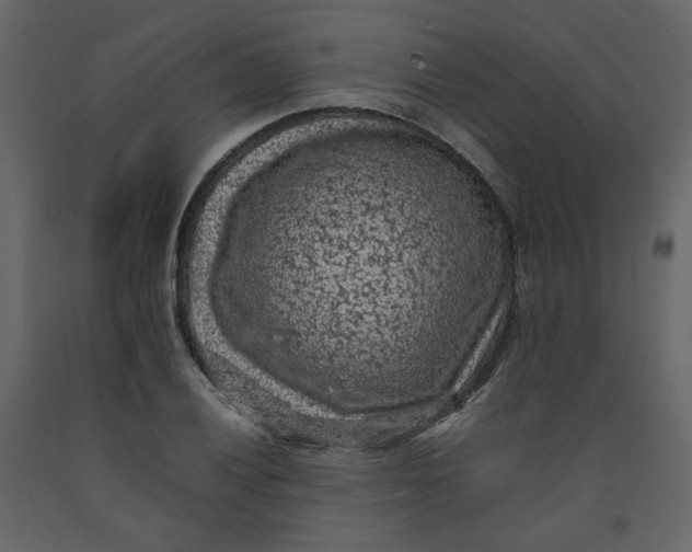 X0000092221028200710051154