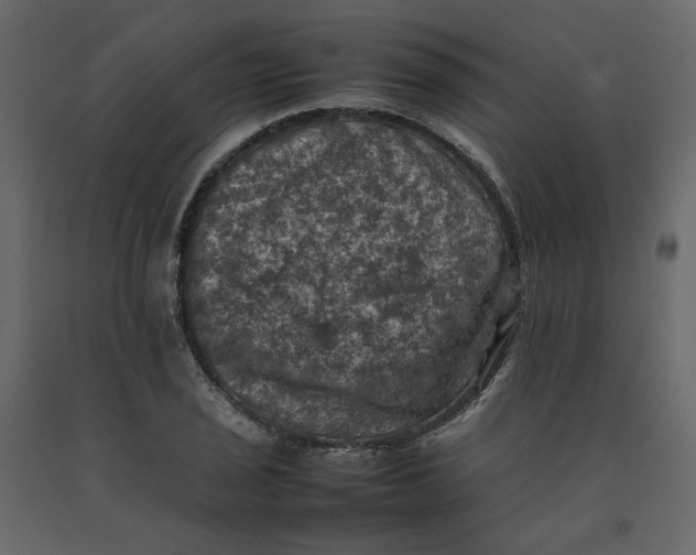 X0000092221029200710051154