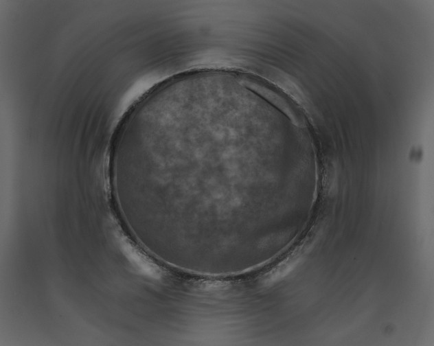 X0000092221030200710051154