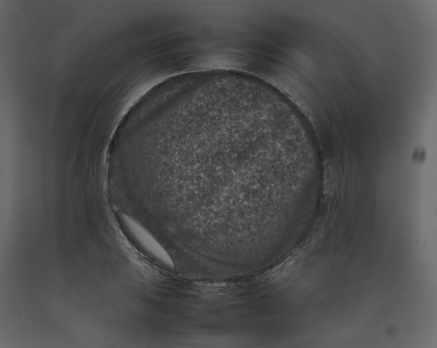 X0000092221031200710051154