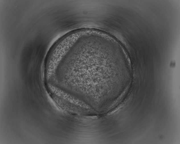 X0000092221032200710051154