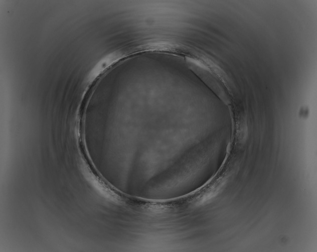 X0000092221034200710051154