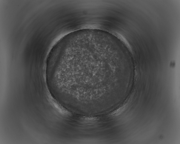 X0000092221035200710051154