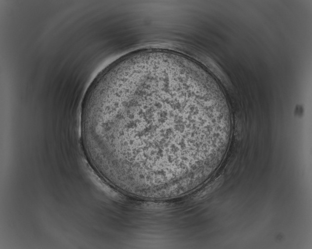 X0000092221036200710051154