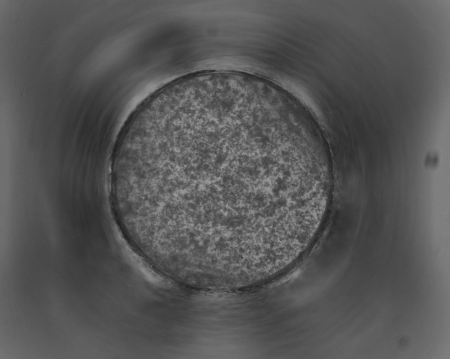 X0000092221040200710051154