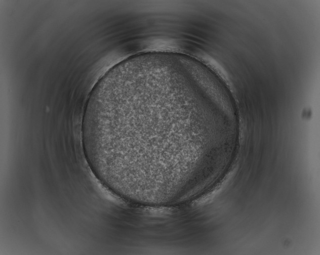X0000092221041200710051154
