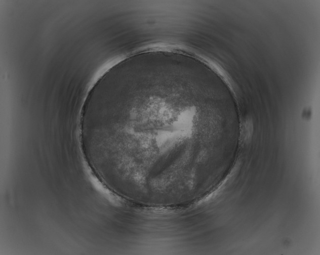 X0000092221042200710051154