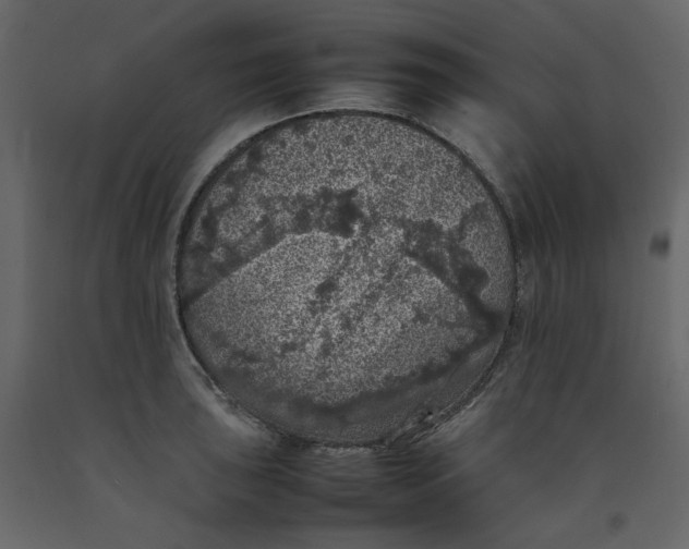 X0000092221043200710051154