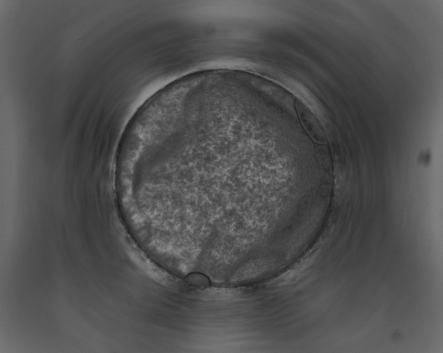 X0000092221044200710051154