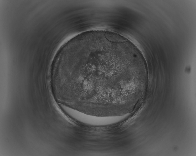 X0000092221045200710051154