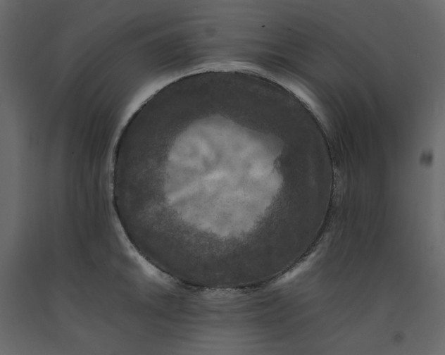 X0000092221046200710051154