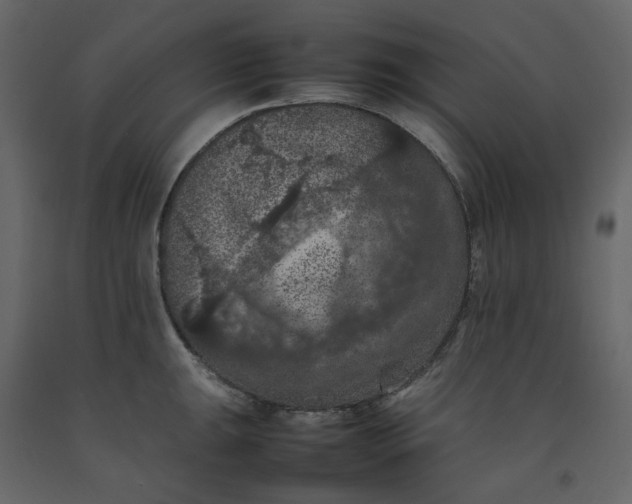 X0000092221047200710051154