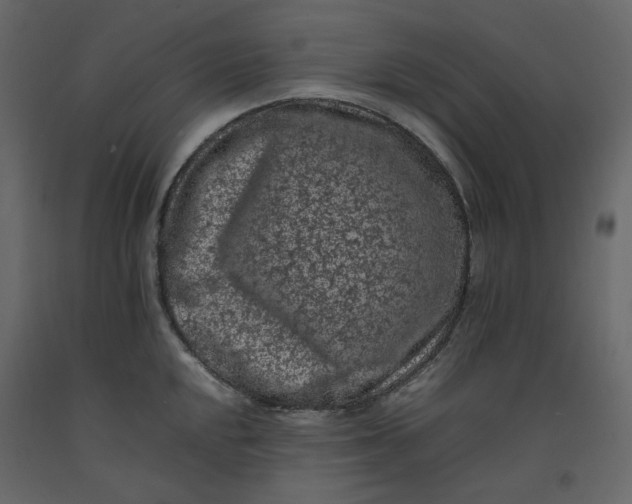 X0000092221048200710051154