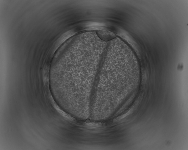 X0000092221049200710051154