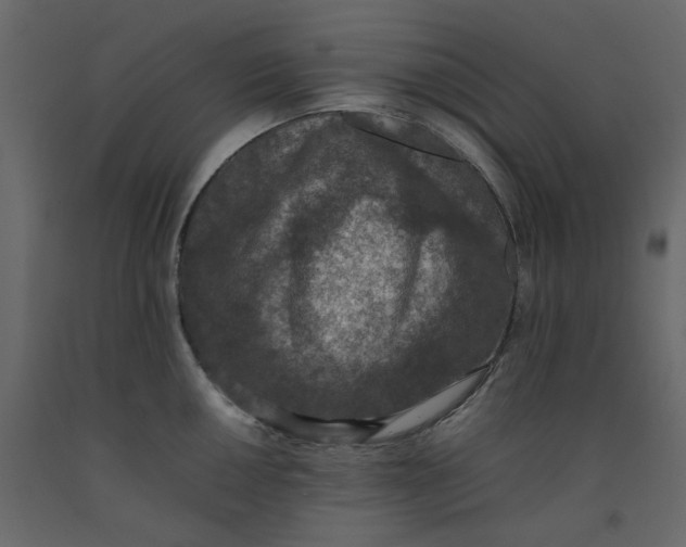 X0000092221050200710051154