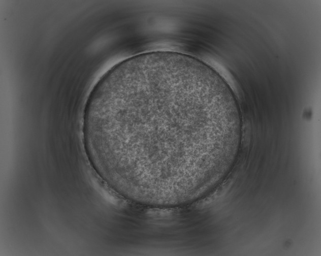 X0000092221051200710051154