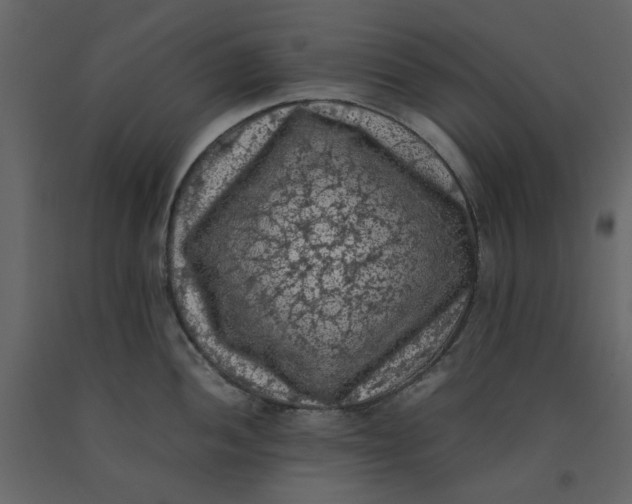 X0000092221052200710051154