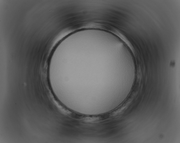 X0000092221053200710051154