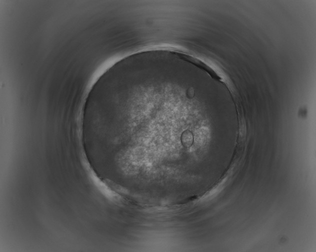 X0000092221054200710051154