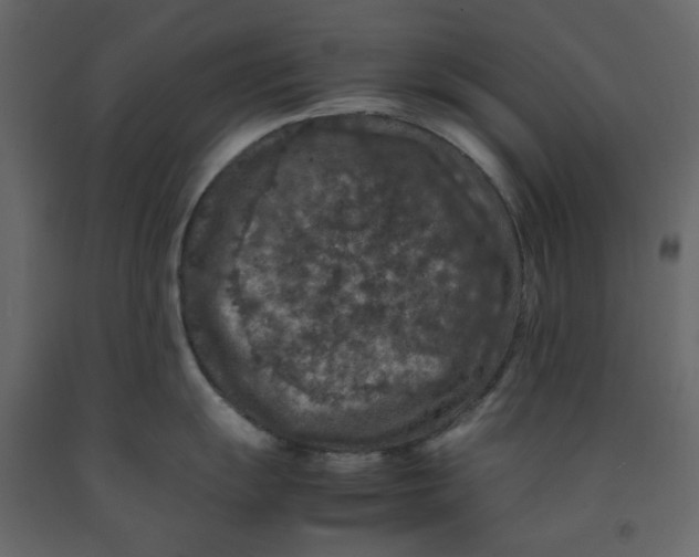 X0000092221055200710051154