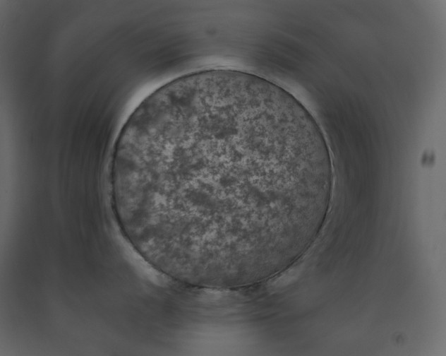 X0000092221056200710051154
