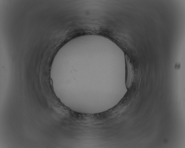 X0000092221057200710051153