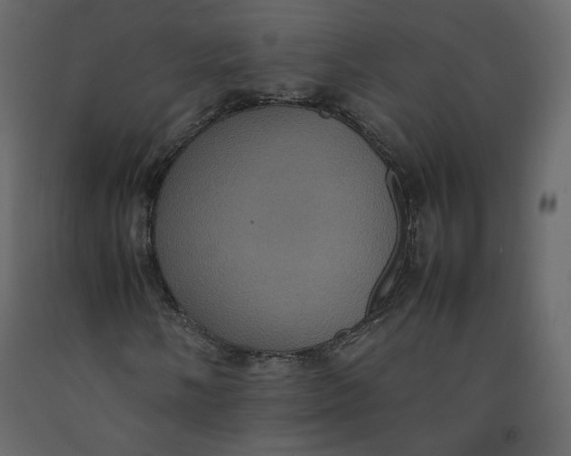X0000092221058200710051153