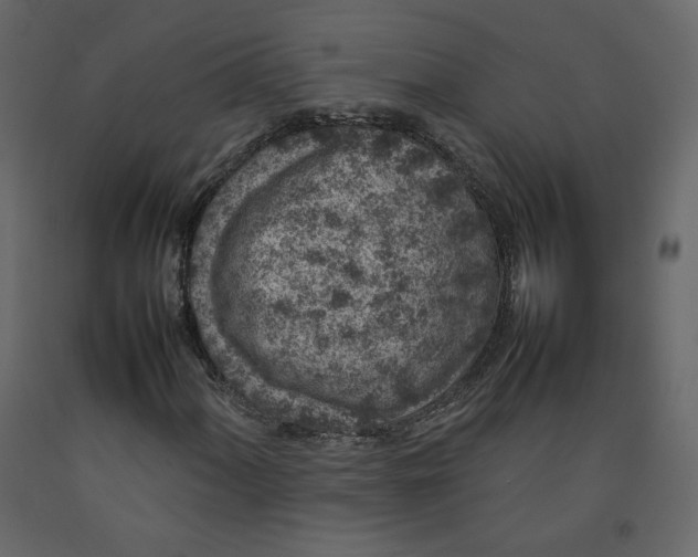X0000092221060200710051153