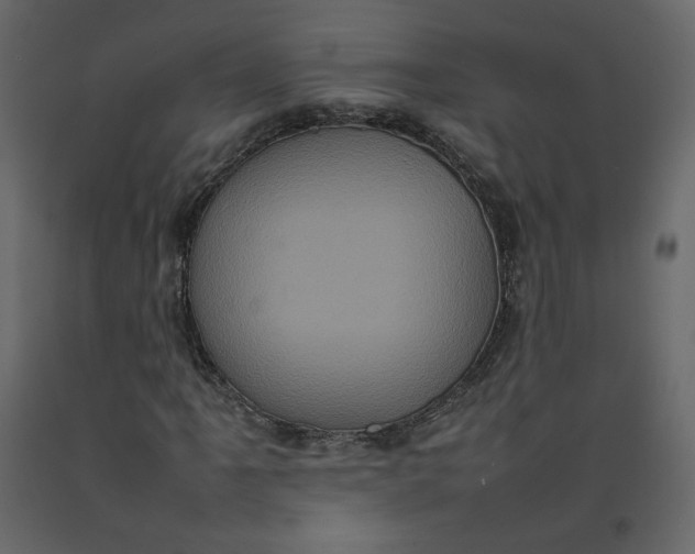 X0000092221061200710051153
