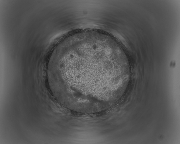 X0000092221063200710051153