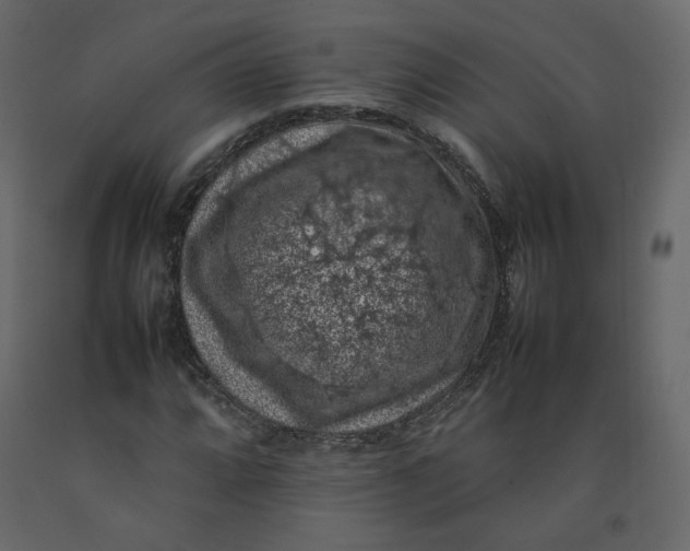 X0000092221064200710051153