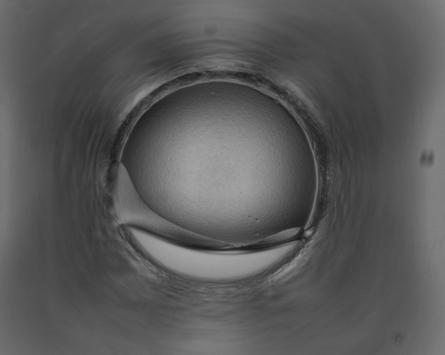 X0000092221065200710051153