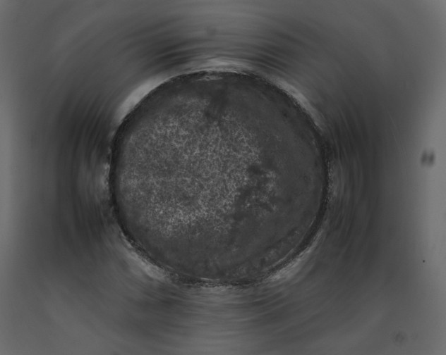 X0000092221066200710051153